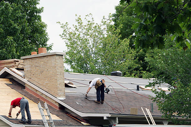 Best 4 Ply Roofing  in Auburn, IL